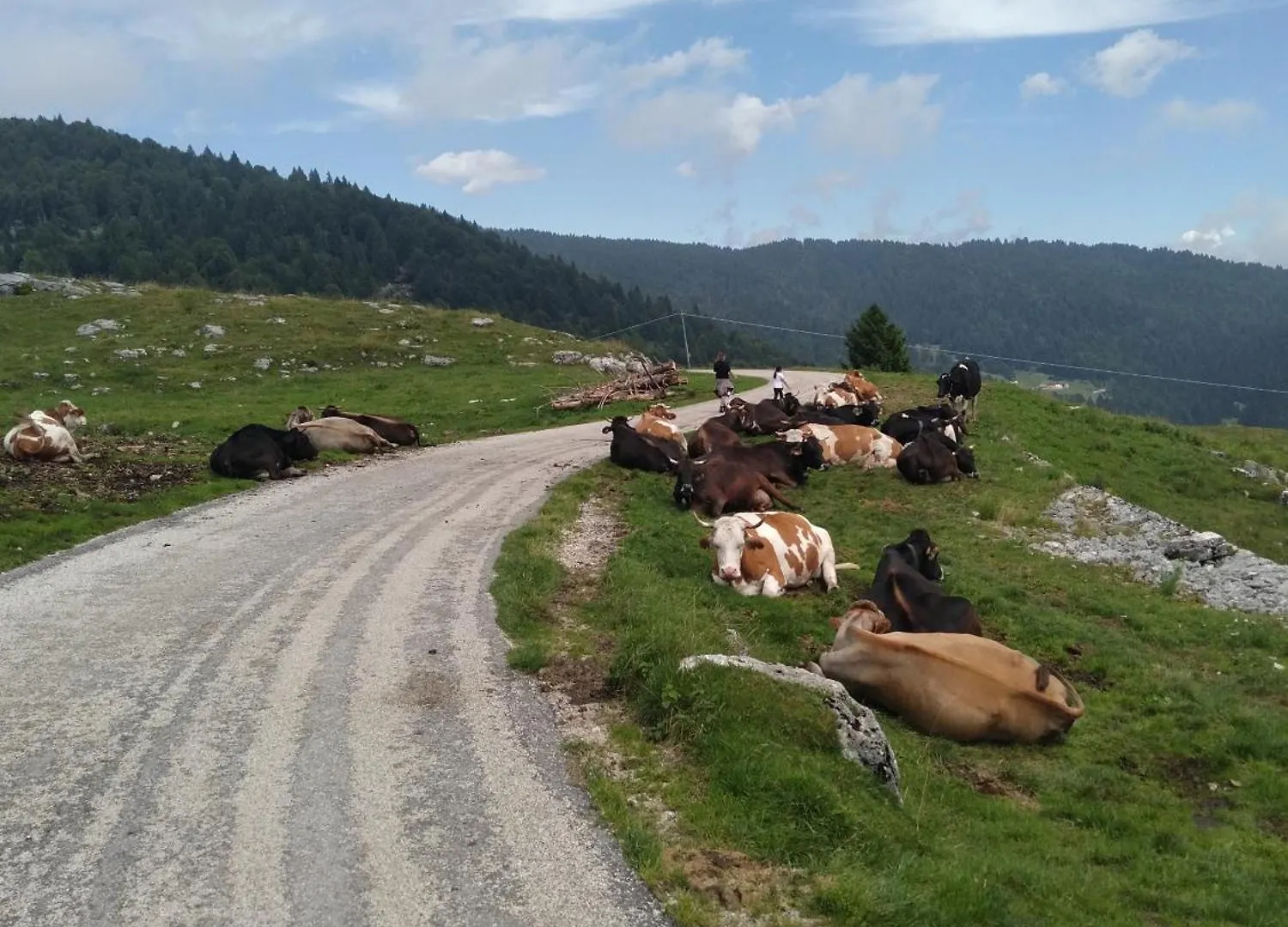 Mountain Living Apartment Asiago Lusiana Italy